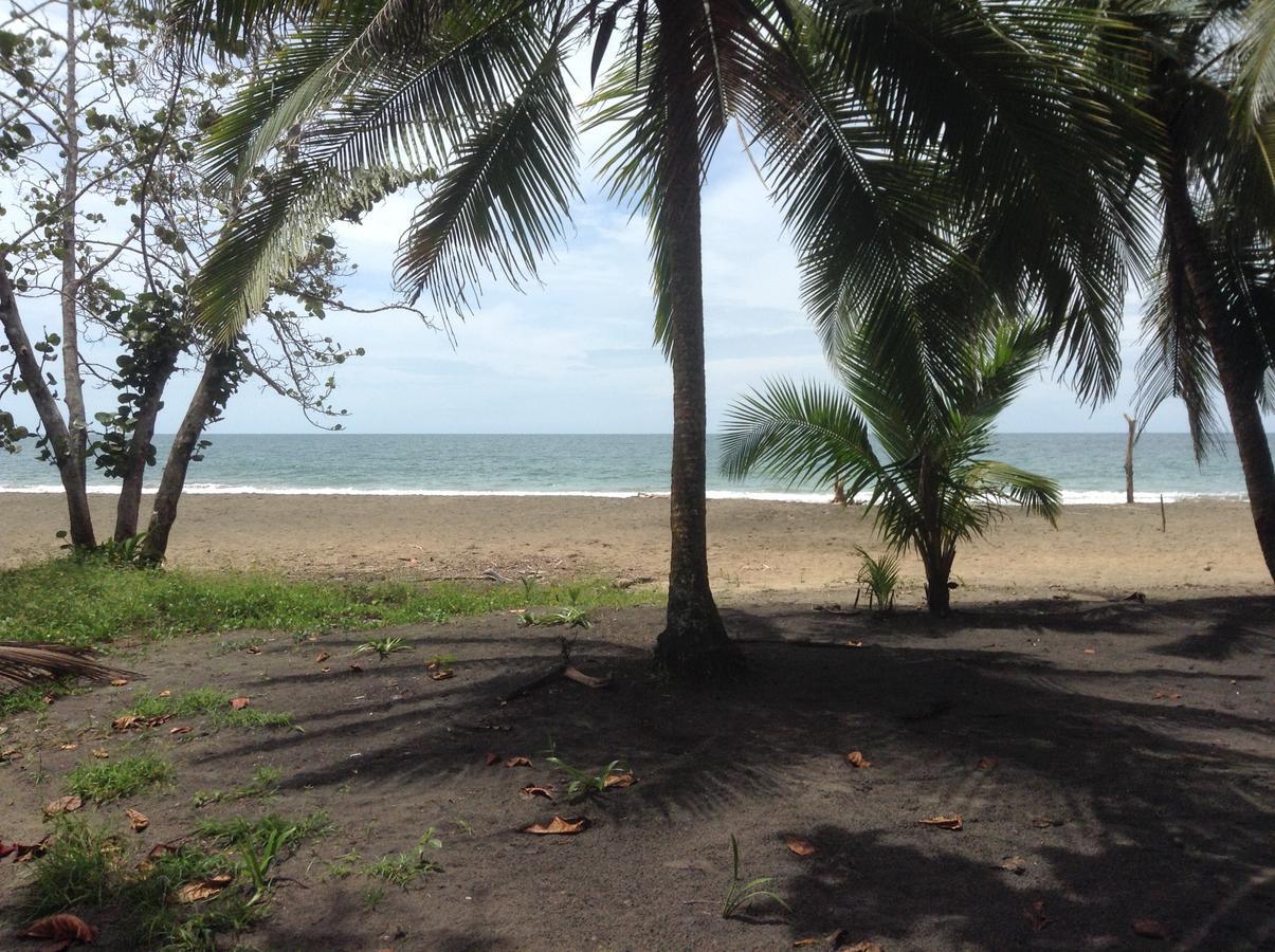 Вилла Pineapple House Manzanillo Экстерьер фото