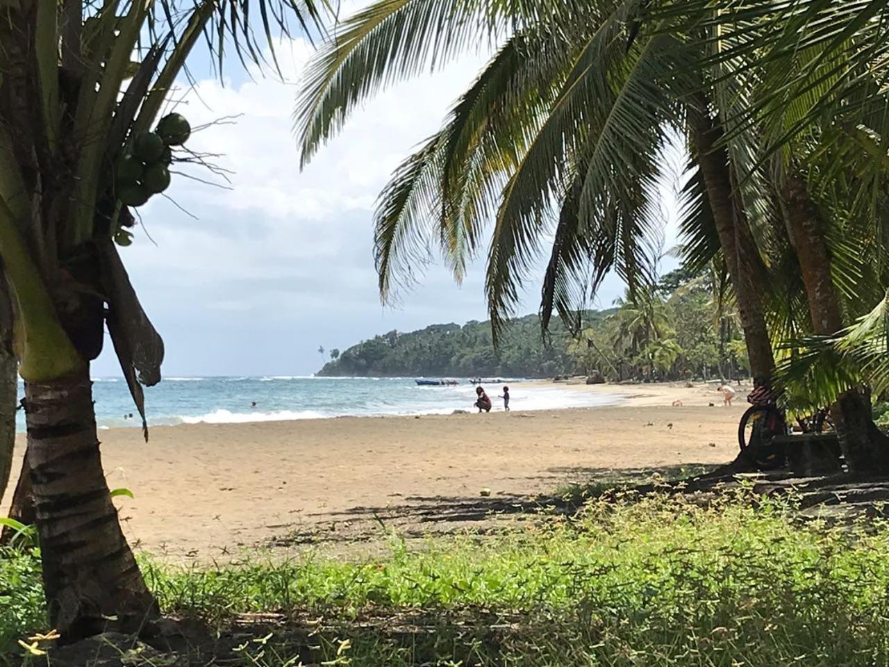 Вилла Pineapple House Manzanillo Экстерьер фото