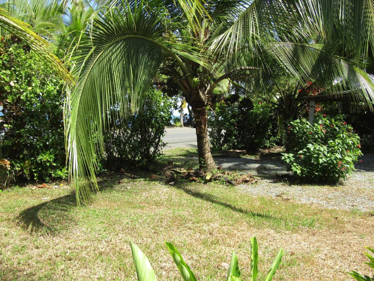 Вилла Pineapple House Manzanillo Экстерьер фото