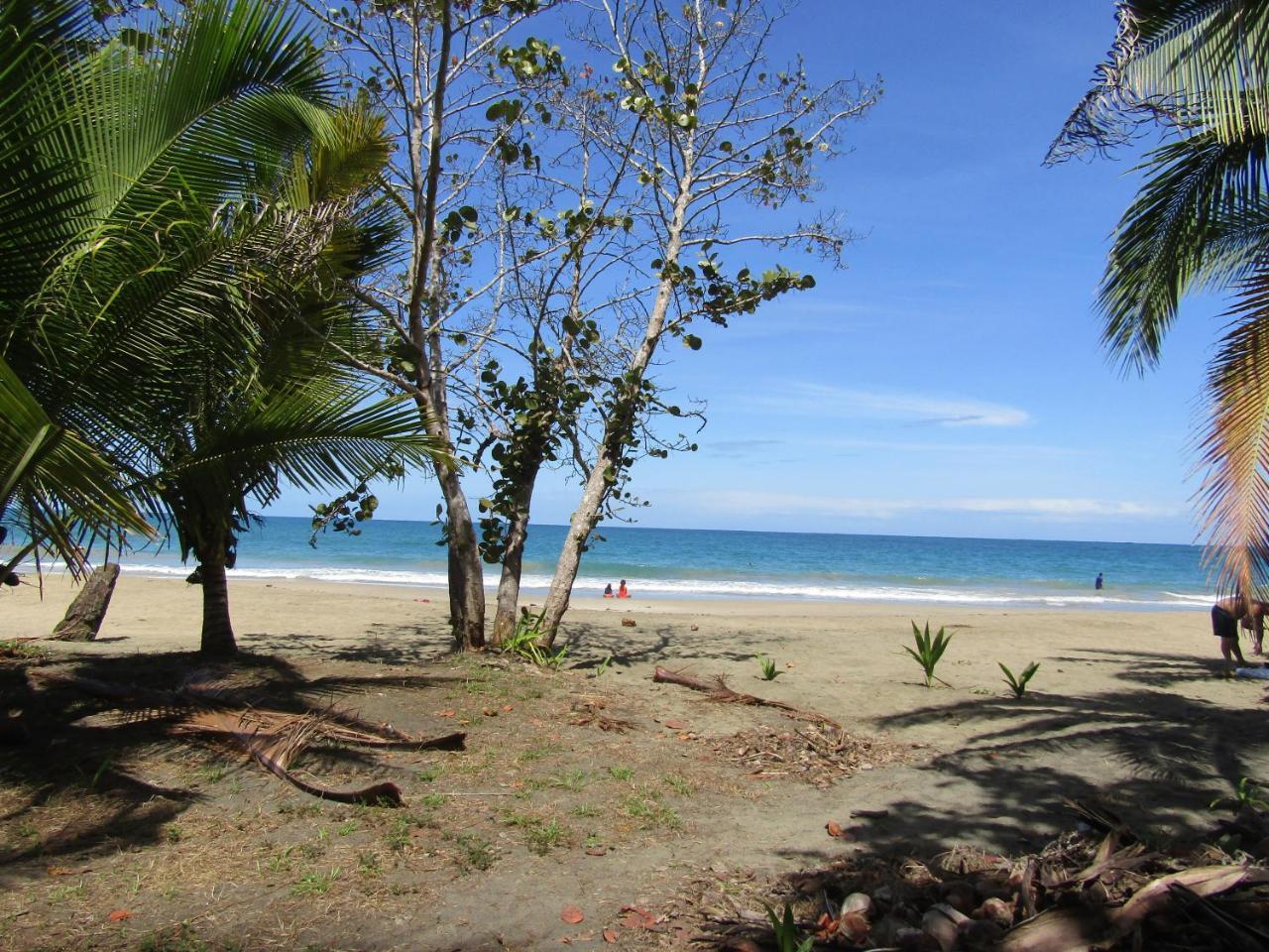 Вилла Pineapple House Manzanillo Экстерьер фото
