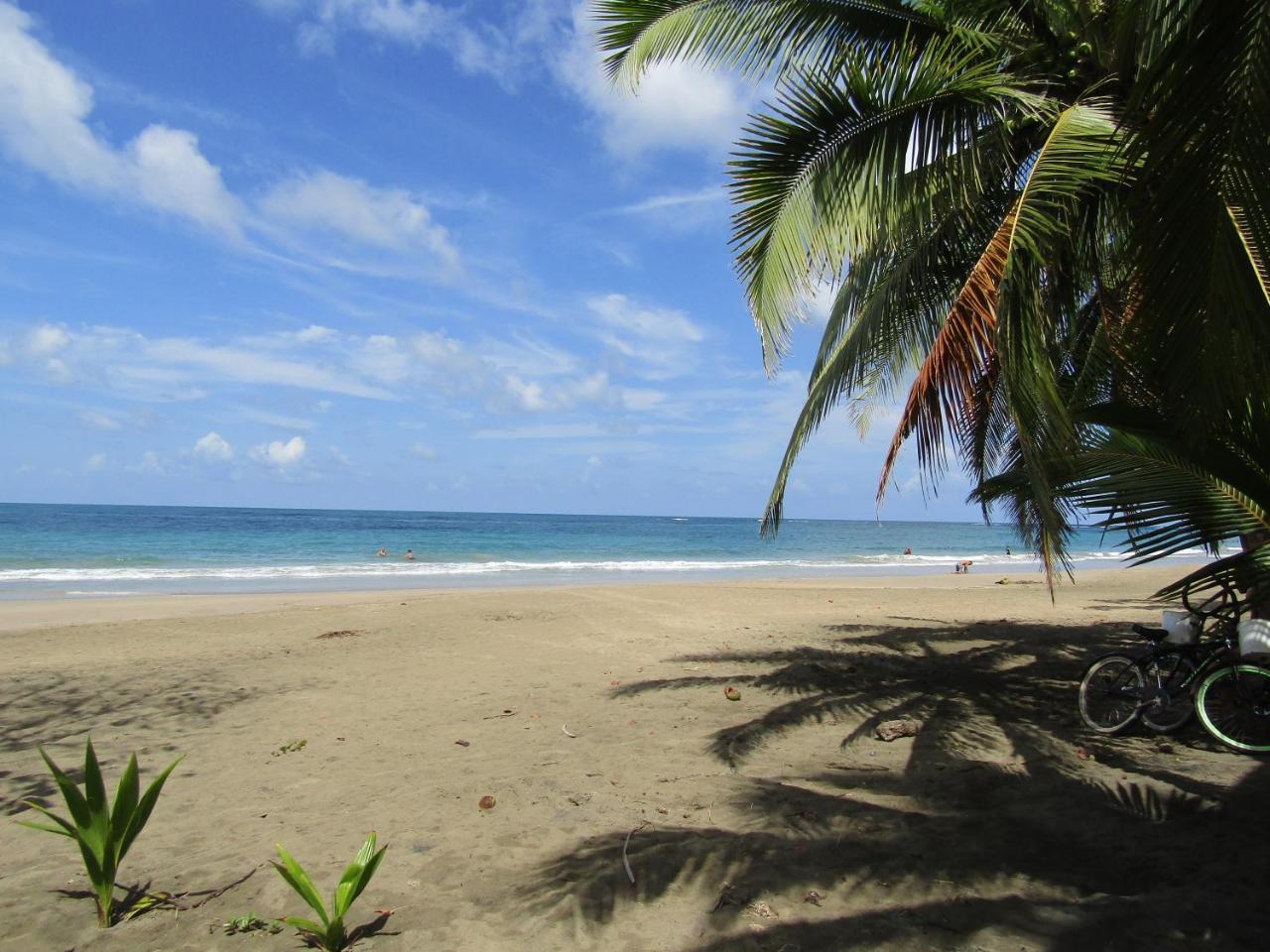 Вилла Pineapple House Manzanillo Экстерьер фото